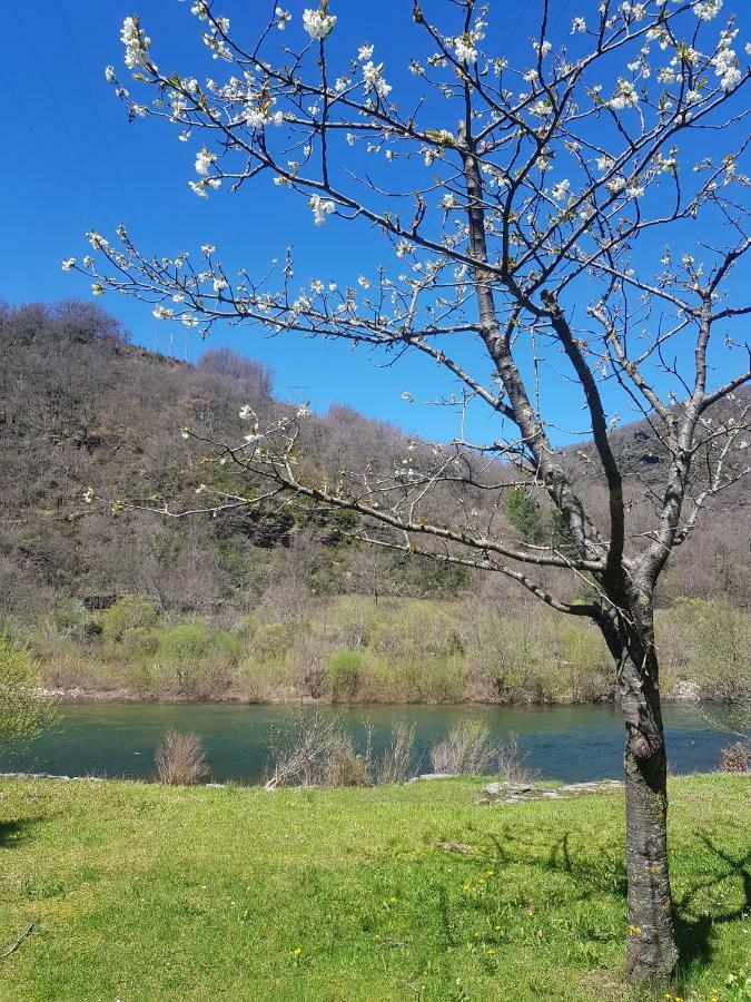 Loz'Aire Naturelle Quezac  Εξωτερικό φωτογραφία